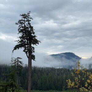 Meet your Posher, Caitlin